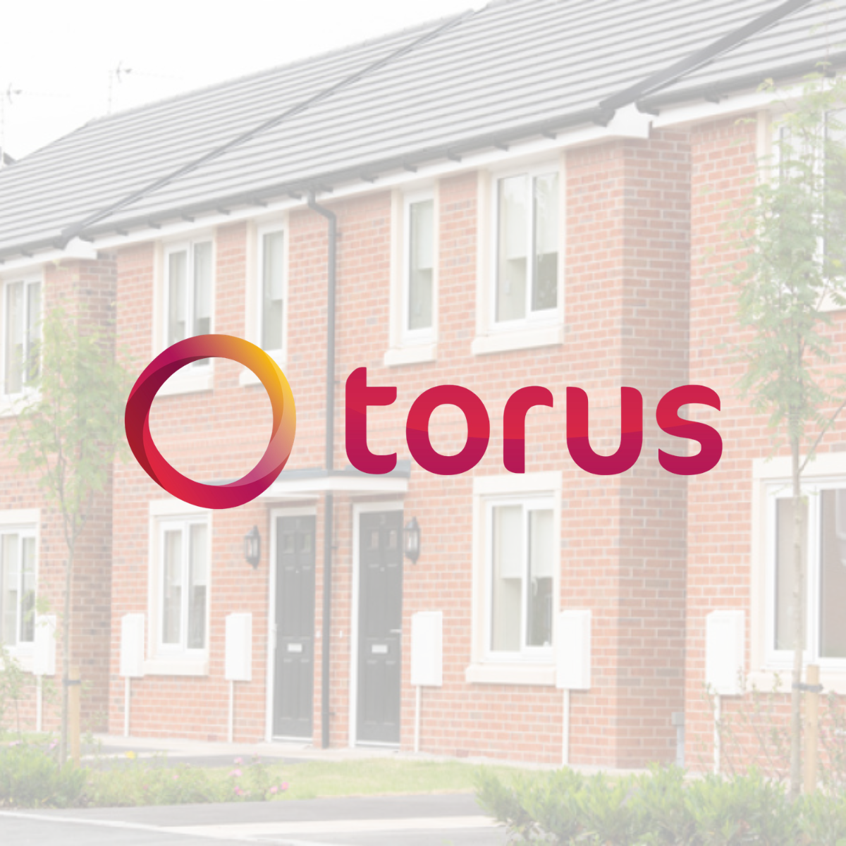 Torus